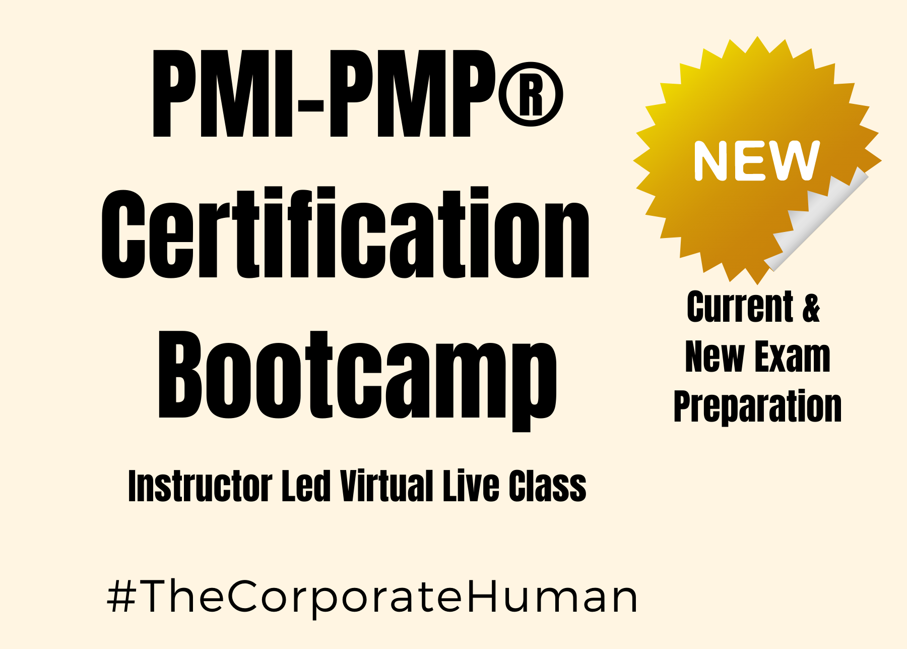PMP PMI Bootcamp